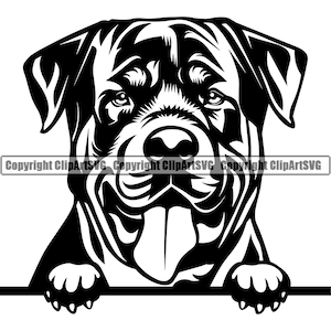 Rottweiler Dog Breed Peeking Peek-A-Boo Pet Canine Pedigree Puppy Purebred Hound Rotty K9 Art Design Logo SVG PNG Clipart Vector Cut Cutting