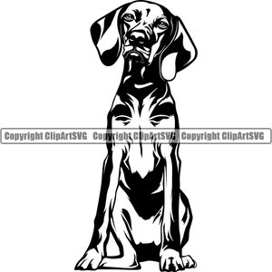 Vizsla Hund Sit sitzend Rasse Glücklich Pfote Welpe Welpe Haustier Englisch Weimaraner Deutsch Kurzhaar Logo SVG PNG Clipart Vektor Schneiden Schneiden
