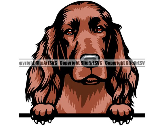 Irish Setter Dog Peeking Peek-a-boo Breed Happy Puppy Animal Pet - Main Image