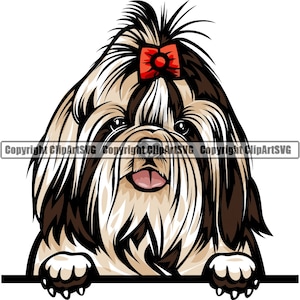 Shih Tzu Dog Breed Peeking Peek-A-Boo Puppy Pet Color Artwork Chihuahua Yorkshire Yorkie Maltese Pomeranian Art Logo PNG SVG Clipart Vector