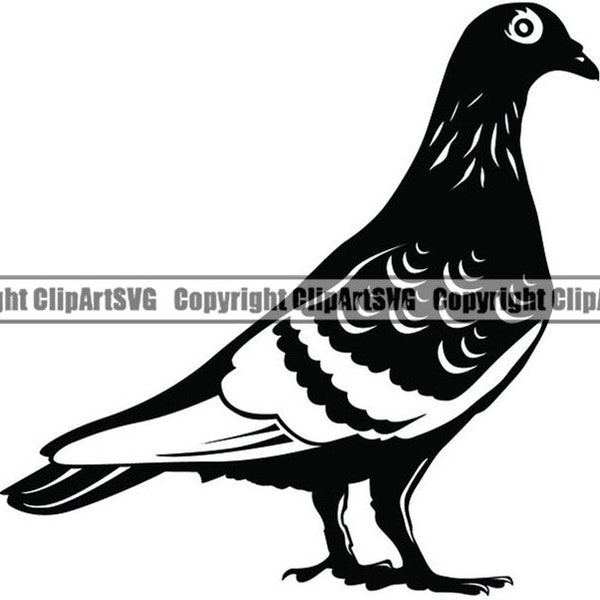 Pigeon #1 Pet Homing Bird Wildlife Topical Domestic Peace Beak Dove Feathers Perch Design Logo .SVG .PNG Clipart Vector Cricut Cut Cutting