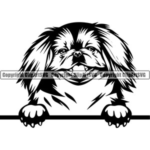 Pekinees hondenras gelukkig gluren Peek-A-Boo stamboom rasechte huisdier Pommeren Papillon Bichon Frise Logo SVG PNG Clipart Vector knippen snijden