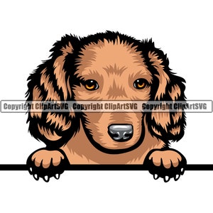 Dachshund Dog Breed Peeking Pup Puppy Long Haired Animal Pet Color Art Hound Wiener Hot Dog Design Logo PNG SVG Clipart Vector Cut Cutting