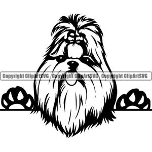 Shih Tzu #9 Peeking Dog Race K-9 Toy Group Lap Animal Pet Hound Chiot Pedigree Hound Logo. SVG. Fichier PNG vectoriel Clipart Cricut coupe coupe