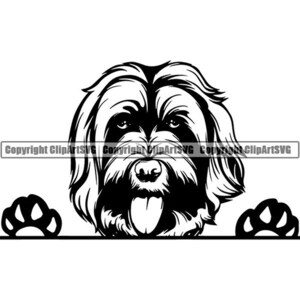 Labradoodle #7 furtivement chien souriant heureux race chiot K-9 Pedigree pure race Bloodline Animal Pet Logo. SVG. PNG vectoriel Cricut coupe coupe