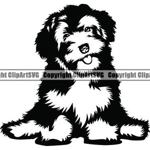 Havanese #29 Happy Paws Dog Breed Pedigree Canine Purebred K-9 Pet Hound Sheepdog Animal Logo .SVG .PNG Clipart Vector Cricut Cut Cutting