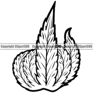 May include: Black and white line art illustration of a stylized cannabis leaf with multiple layers of leaves.