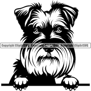 Schnauzer hondenras gluren Peek-A-Boo glimlach Paw Puppy Pup Pet Shop Canine K9 miniatuur gigantische Design Logo SVG PNG Clipart Vector knippen snijden
