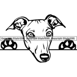 Levriero #1 che sbircia zampe razza di cane pedigree canino di razza K-9 animale domestico segugio animale da corsa logo. SVG. PNG Clipart vettoriale Cricut taglio taglio