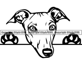 Greyhound #1 Peeking Paws Dog Breed Pedigree Canine Purebred K-9 Pet Hound Animal Racing Logo .SVG .PNG Clipart Vector Cricut Cut Cutting
