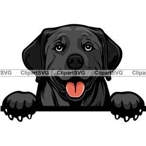 Black Labrador Retriever Smiling Peeking Dog Puppy Face Canine Pet Portrait Lab Cartoon Drawing Art Logo Tattoo Design SVG PNG Cut Cutting