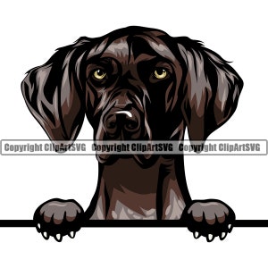 German Shorthaired Pointer Dog Breed Peeking Peek-A-Boo Cute Big Eye Puppy Pup Pet Cartoon Weimaraner Vizsla Logo SVG PNG Clipart Vector Cut