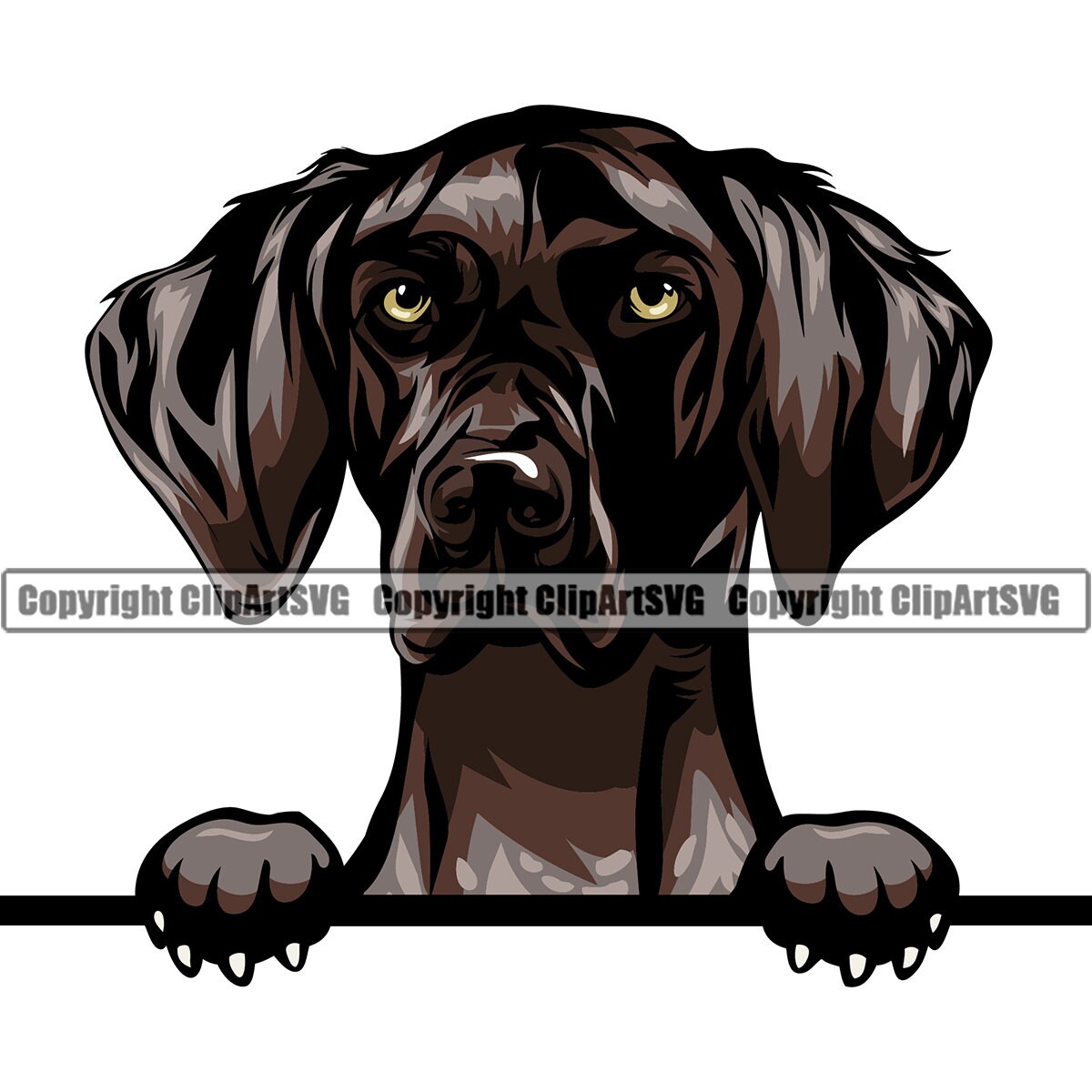 A Dog Breed Pointer