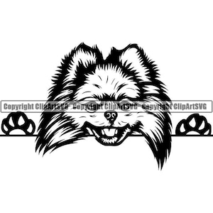 Pomeranian #2 Peeking Dog Breed Pedigree Canine Purebred K-9 Pet Hound Animal Spitz Logo .SVG .PNG Clipart Vector Cricut Cut Cutting File