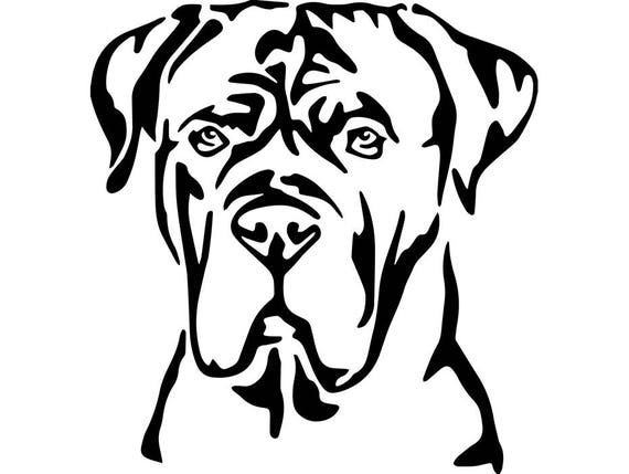 Cane Corso 1 Dog Breed Italian Mastiff K 9 Animal Pet Hound Puppy Logo Svg Eps Png Digital Clipart Vector Cricut Cut Cutting Download