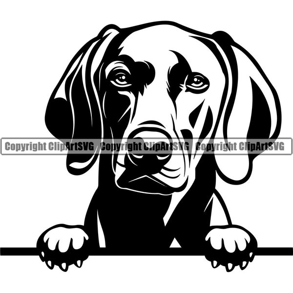 Vizsla Dog Breed Peeking Peek-A-Boo Puppy Pup Pet English Weimaraner German Wirehaired Pointer Art Logo SVG PNG Clipart Vector Cut Cutting
