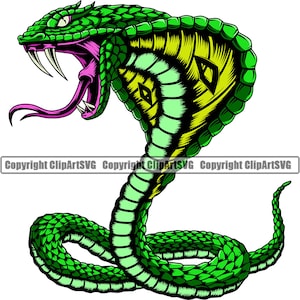 Könnte beinhalten: Eine grüne und gelbe Kobra mit erhobener Haube, herausstehenden Zähnen und herausgestreckter Zunge. Die Kobra ist in einer defensiven Haltung zusammengerollt, mit dem Schwanz um ihren Körper gewickelt.