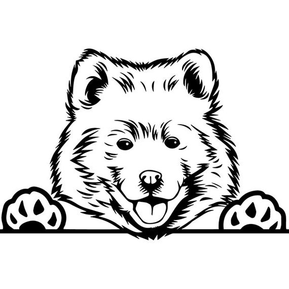 Download Samoyed 1 Peeking Dog Smiling Happy Breed Puppy K-9 ...