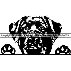 Labrador Dog Breed Peeking Peek-A-Boo Puppy Pup Pet Purebred Pedigree Art K9 Golden Retriever Logo SVG PNG Clipart Vector Cricut Cut Cutting