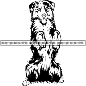 Australian Shepherd Beg Begging Breed Happy Paw Puppy Pup Pet Clip Art K-9 Cattle Dog Border Collie Logo SVG PNG Clipart Vector Cut Cutting