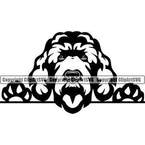 Portuguese Water Dog Breed Peeking Peek-A-Boo Paw Puppy Pup Pet Art Spanish Irish Barbet Cute Artwork Logo SVG PNG Clipart Vector Cut File