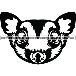 Suiker zweefvliegtuig #3 huisdier vliegende eekhoorn wilde nachtelijke dieren Possum natuur zoogdier schattig Wildlife logo. SVG. PNG clipart vector Cricut knippen snijden
