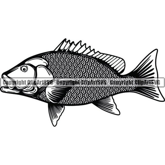 Download Snapper Fish 3 Red Fishing Angling Salt Water Ocean Sea Etsy