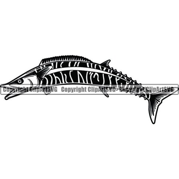Download Wahoo Fish 1 Fishing Angling Salt Water Ocean Sea Marine Life Etsy