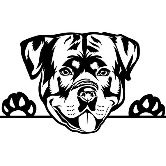 Download Rottweiler 82 Peeking Dog Breed Animal Pet Guard Security Etsy PSD Mockup Templates