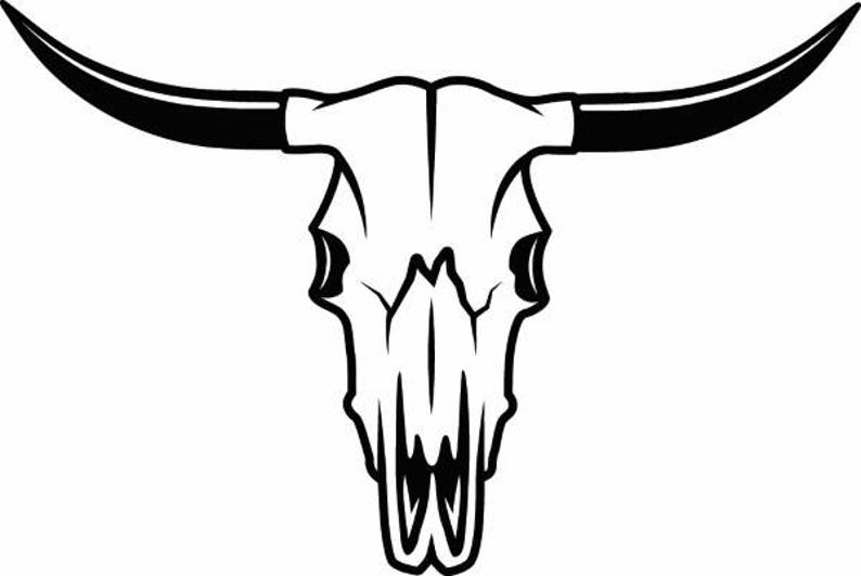 Bull Skull 1 Skeleton Bones Horns Cowboy Country Western Cow Etsy