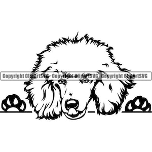 Poodle #36 Peeking Smiling Dog Breed K-9 Animal Pet Puppy Paws Canine Pedigree Logo .SVG .EPS .PNG Digital Clipart Vector Cricut Cut Cutting