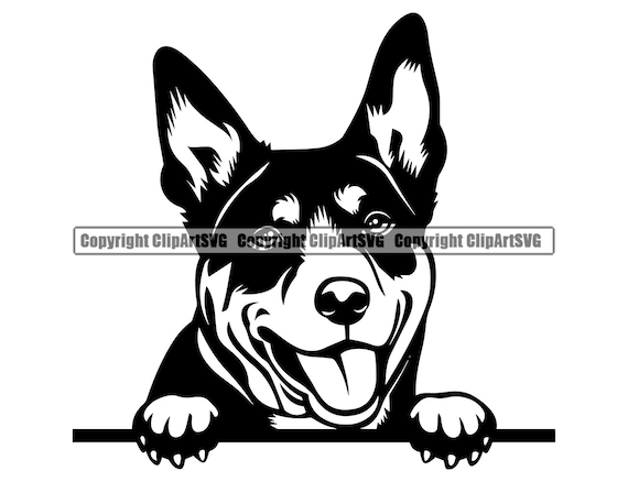 Australian Kelpie Peeking Peek A Boo Breed Happy Paw Puppy Pup Etsy