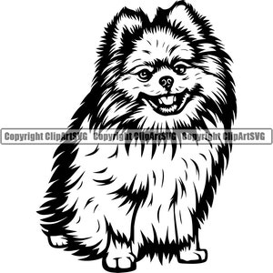 Poméranie chien assis assis race heureux patte chiot chiot Pet Art K-9 maltais Chihuahua Shih Tzu oeuvre Logo SVG PNG Clipart vecteur coupe coupe