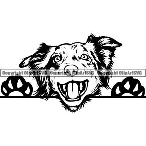 May include: Black and white illustration of a Border Collie dog peeking over a surface with its paws on either side. The dog has a playful expression with its tongue sticking out.