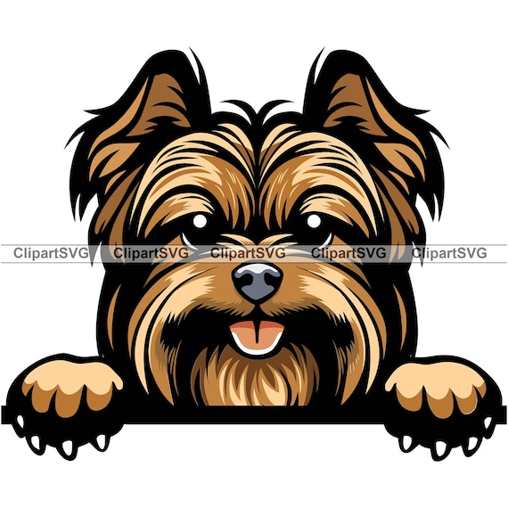Smiling terrier hotsell