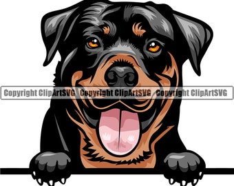Rottweiler Heat Transfers Printable