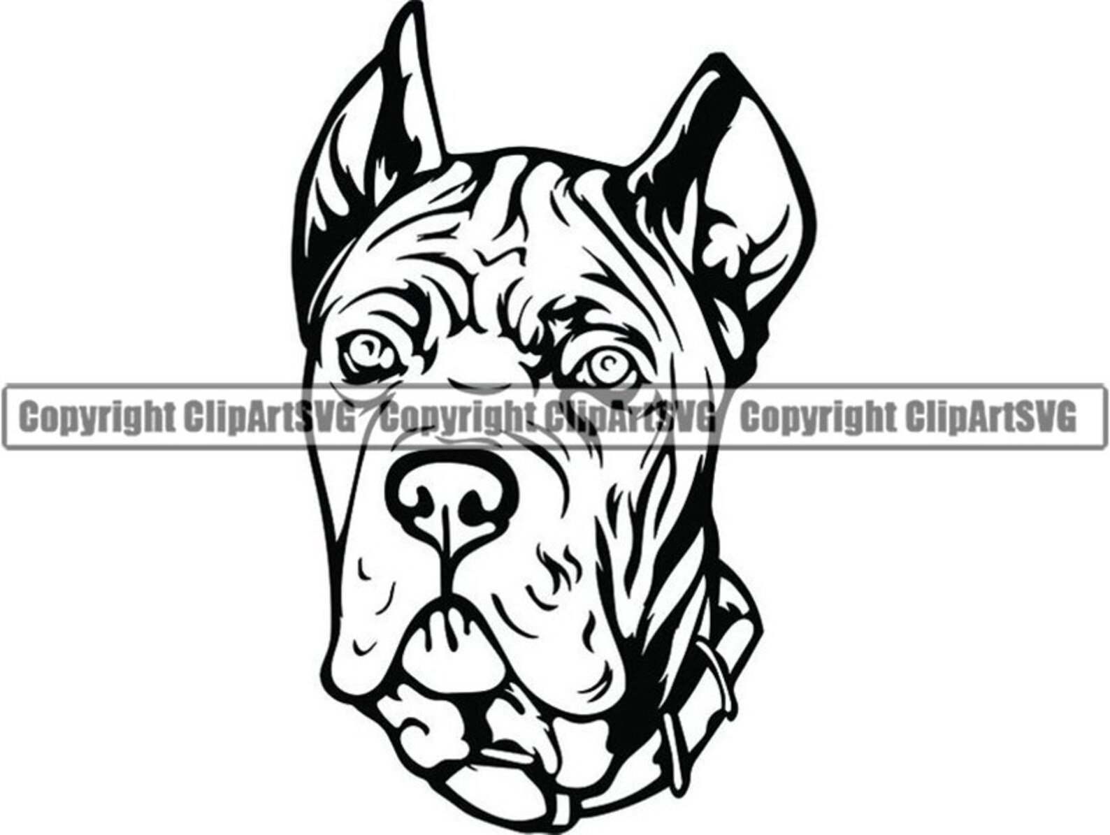 Cane Corso 5 Dog Breed Italian Mastiff K9 Animal Pet Hound Etsy