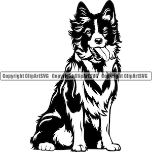 Border Collie Sit Sitting Breed Happy Paw Puppy Pup Pet Clip Art K-9 Cattle Dog Australian Shepherd Logo SVG PNG Clipart Vector Cut Cutting