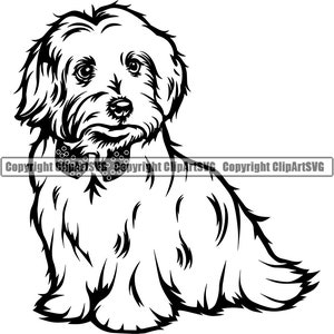 Race de chien maltais assis assis chiot chiot animal de compagnie Yorkie Yorkshire Terrier Lhassa Apso Shih Tzu Bichon frisé bichon havanais Logo SVG Clipart coupe coupe