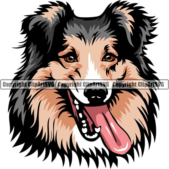 Blue sales heaven original store shelties