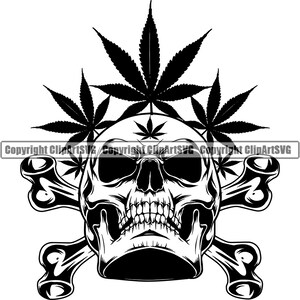 May include: Black and white illustration of a skull with crossed bones, surrounded by marijuana leaves.