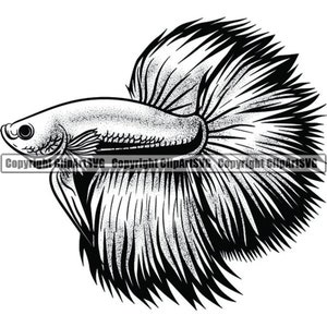 Pode incluir: Ilustração em preto e branco de um peixe betta com longas barbatanas fluidas. O peixe está virado para a esquerda e tem um olho grande e redondo.