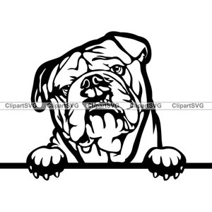 Engelse Bulldog hondenras gluren Peek-A-Boo Paw Puppy Pup huisdier kunst K9 Dogue de Bordeaux Bull Mastiff Logo SVG PNG Clipart Vector knippen snijden