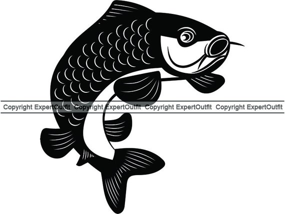 Sport Fishing Fish Fisher Koi Dark Scale Fin Flexed Right Side Etsy