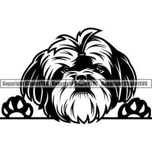 Shih Tzu Dog Breed Peeking Peek-A-Boo Puppy Pet Artwork Chihuahua Yorkshire Yorkie Maltese Pomeranian Logo PNG SVG Clipart Vector Cut File