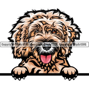 Cockapoo Dog Breed Peeking Peek-A-Boo Happy Puppy Pet Color Artwork Cocker Spaniel Poodle Labradoodle Yorkiepoo Logo PNG SVG Clipart Vector