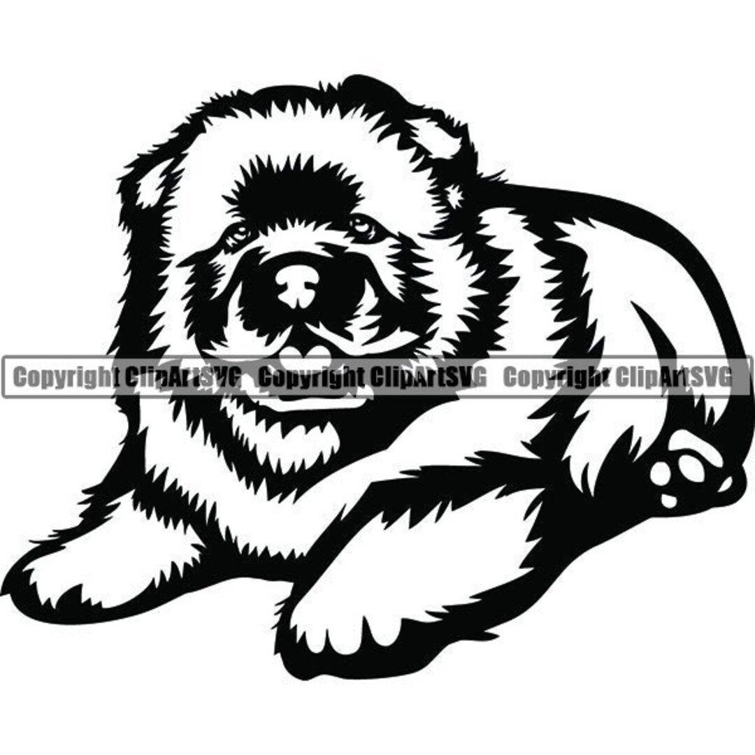 Chow Chow #1 Happy Puppy Dog Breed Pedigree Canine K-9 Animal Pet Hound ...