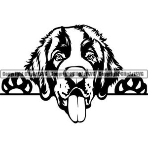Saint Bernard #1 gluren glimlachend hondenras K-9 dier huisdier puppy poten honden stamboom logo. SVG. PNG digitale clipart vector Cricut knippen snijden