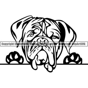Bordeauxdog #3 gluren hond glimlachend gelukkig ras puppy K-9 stamboom Franse Mastiff dier huisdier logo. SVG. PNG Vector Cricut knippen snijden