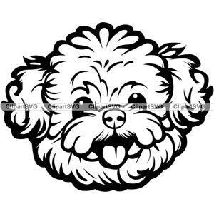 Pomapoo Smiling Dog Cute Puppy Face Canine Pet Pomeranian Toy Poodle Portrait Paw Print Cartoon Drawing Art Logo Tattoo Design SVG PNG Cut